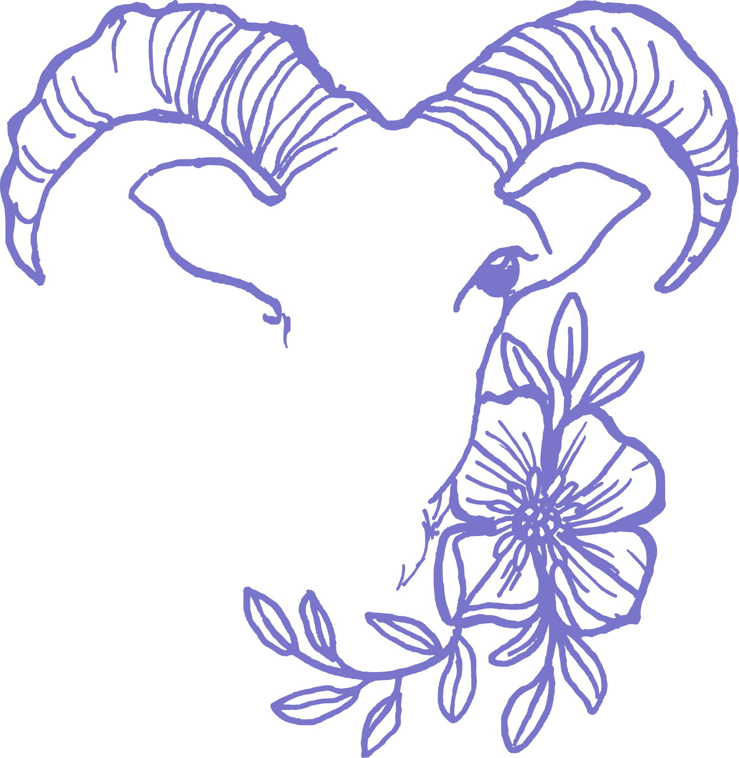  Capricorn