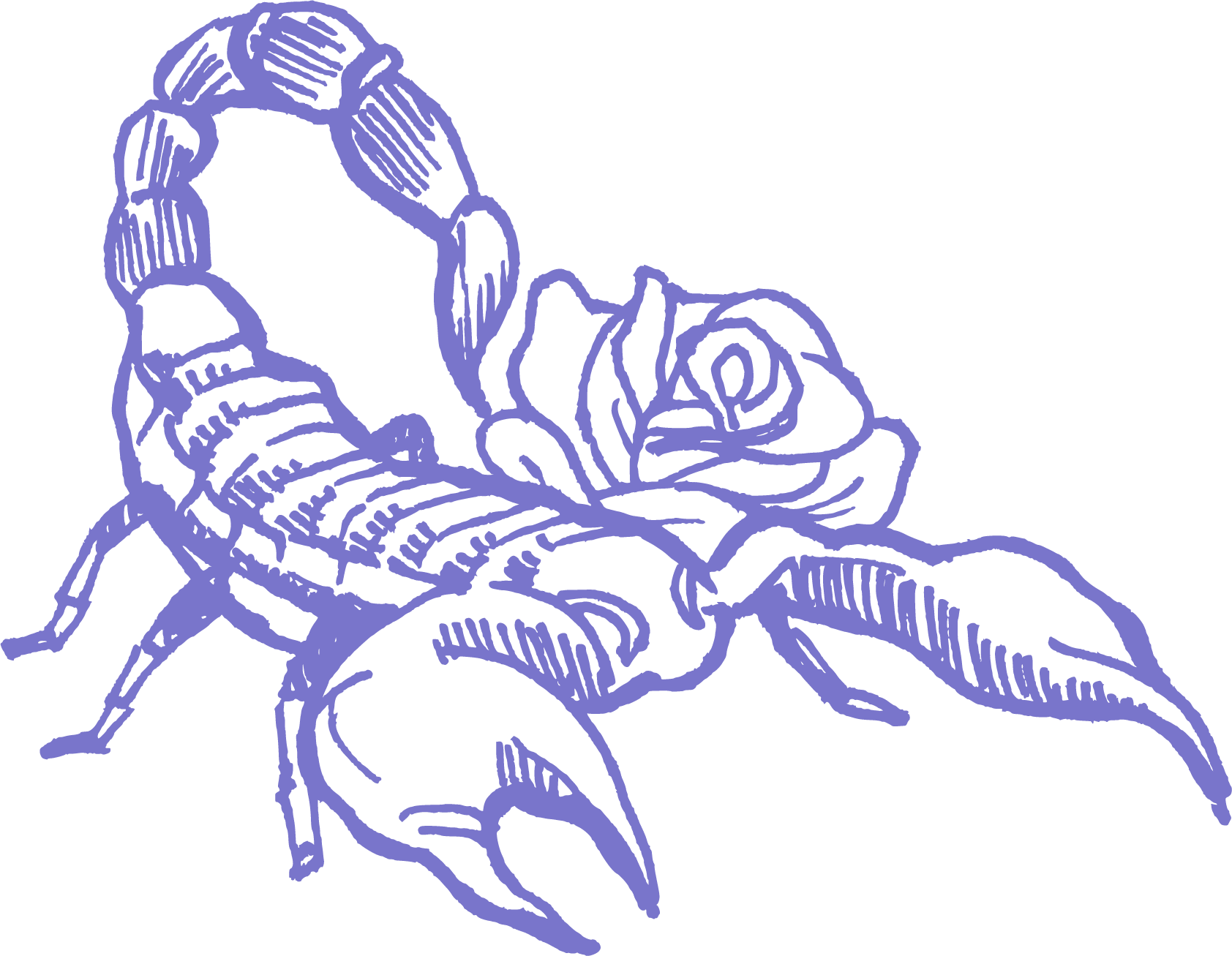 Scorpio